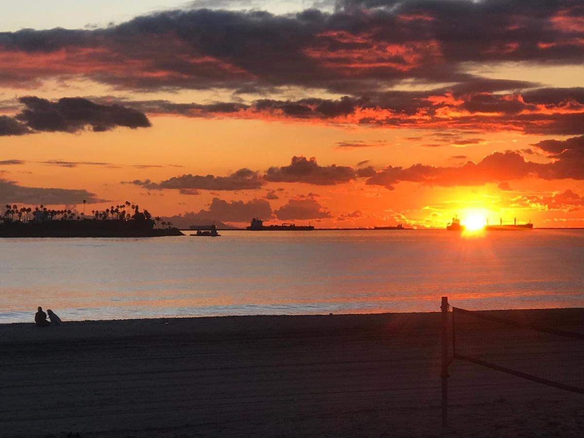 New Belmont Shore Retreat With Free Parking Walk To Beaches Long Beach Eksteriør bilde